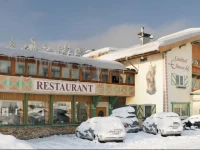 Gasthof Ellmauer Hof 3*