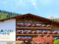 Hotel Waldhof