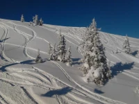 Pension Andrea 