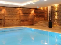 Avenida Mountain Resort by Alpin Rentals 