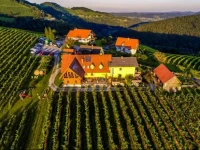 Weingut Reiterer 