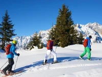 Hotel Lohningerhof 
