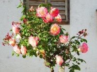 Haus Margarethe 