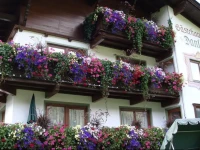 GГ¤stehaus Danler 