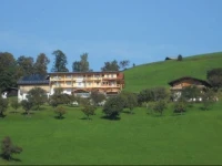 Alpengasthof Pinzgerhof 