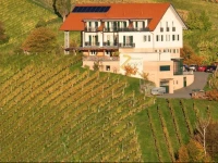 Weingut GГ¤stezimmer Zweytick Robert 