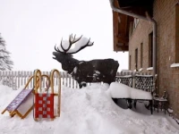 Zum Hirsch 