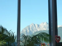 Tiroler Alpenblick 
