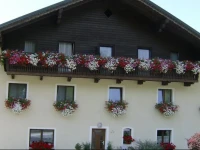 Bauernhof Hansenmann 