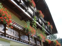 Apartment GГ¤stehaus Pernull 3 