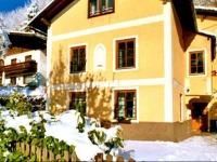 Holiday home Ferienhaus Steiner Zell am See 