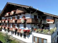 Pension Traube 3*