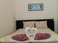 Apartment Novaragasse 