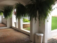Casa Ossos 