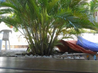 Hotel e Pousada Tropical Wind do Cumbuco