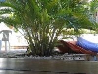 Hotel e Pousada Tropical Wind do Cumbuco 