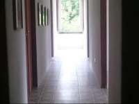 Hostel Quinta Das Palmeiras 