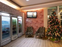 Hotel Nativo 2*