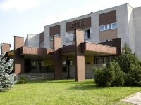 Dedal