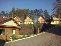 Hotel Fazenda Vista Alegre 4*