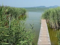 Villa Balatonfenyves 2 