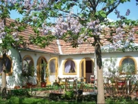 Babi Guesthouse 