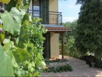 Titi Family Apartman 