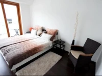 Budapest Terrace Apartment 