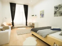 Downtown Apartment VasvГЎri 