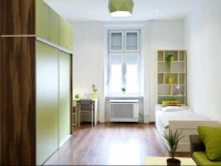 Stylish new apartment in city centre 
