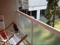 Csopaki Apartman 