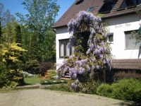 Bacchus Guesthouse 