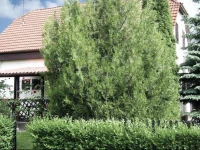 Holiday Home FonyГіdliget 05 