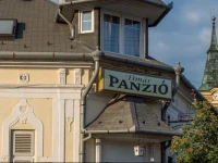 TГ­mГЎr panziГі 