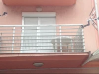 Elena Apartman 