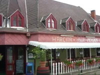 Hargita PanziГі Г©s Г‰tterem 