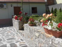 Retelvitez VendГ©ghГЎz 