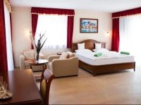 Luxury Spa & Conference Hotel 