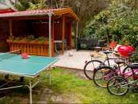 Fekete ForrГЎs Apartman 
