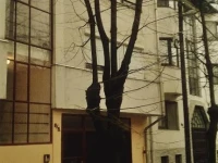 Solaris-Szeged Apartman 