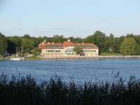 Kormoran