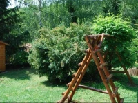 Nefelejcs ApartmanhГЎz 