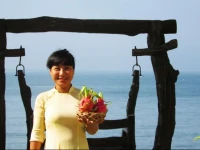 Mui Ne Paradise Beach Resort 