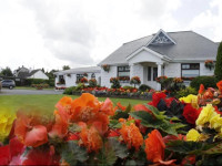 Rosemount B&B