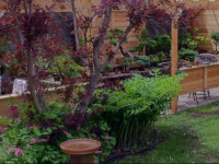 Maison aux Pignons