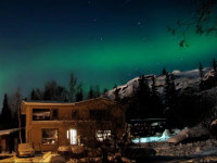Narwal B&B