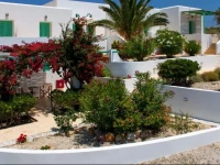 Psilandis Studios 