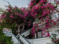 Fevro Hotel 