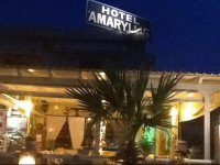 Amaryllis
