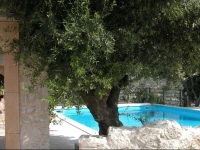 Holiday home Villa Despoina 